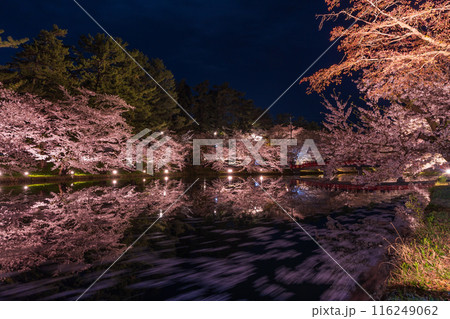 日本さくら名所100選　青森　弘前公園　夜桜ライトアップ 116249062