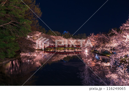 日本さくら名所100選　青森　弘前公園　夜桜ライトアップ 116249065
