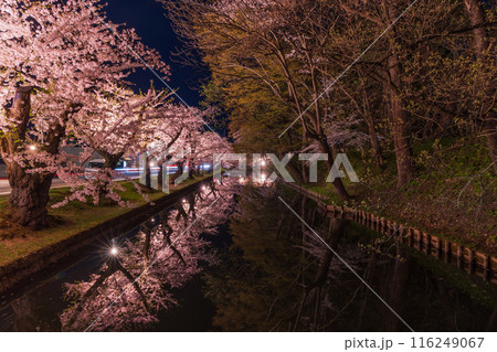 日本さくら名所100選　青森　弘前公園　夜桜ライトアップ 116249067