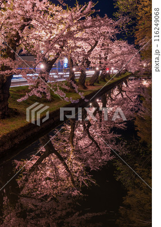 日本さくら名所100選　青森　弘前公園　夜桜ライトアップ 116249068