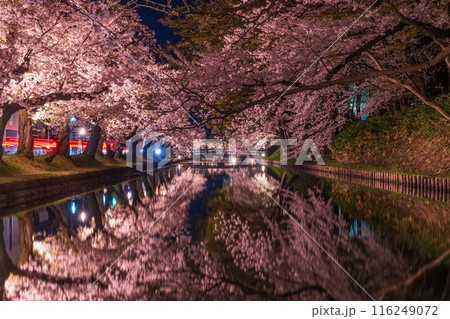 日本さくら名所100選　青森　弘前公園　夜桜ライトアップ 116249072