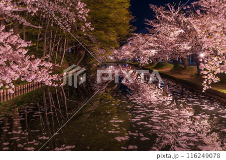 日本さくら名所100選　青森　弘前公園　夜桜ライトアップ 116249078