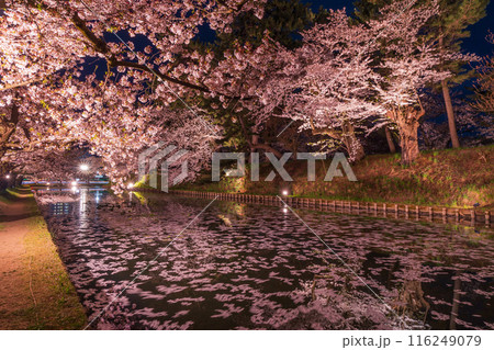 日本さくら名所100選　青森　弘前公園　夜桜ライトアップ 116249079