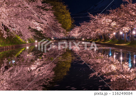 日本さくら名所100選　青森　弘前公園　夜桜ライトアップ 116249084