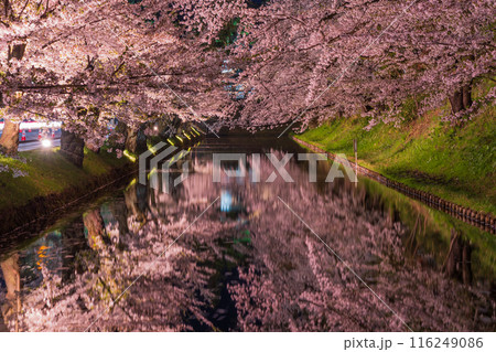 日本さくら名所100選　青森　弘前公園　夜桜ライトアップ 116249086