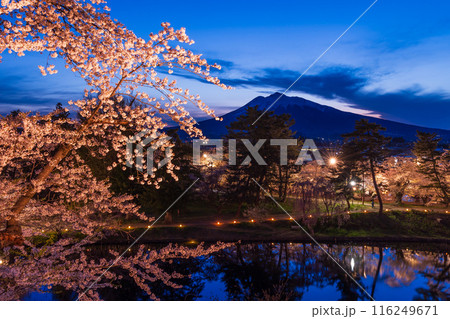 日本さくら名所100選　青森　弘前公園　夜桜ライトアップ 116249671