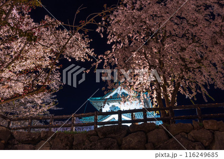 日本さくら名所100選 青森 弘前公園 夜桜ライトアップ 日本さくら名所100選 青森 弘前公園 夜桜ライトアップ 116249685