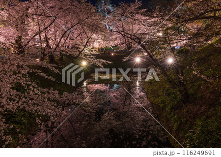 日本さくら名所100選 青森 弘前公園 夜桜ライトアップ 日本さくら名所100選 青森 弘前公園 夜桜ライトアップ 116249691