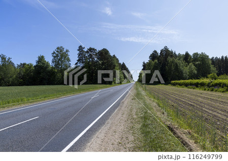 a narrow paved road in the summer 116249799
