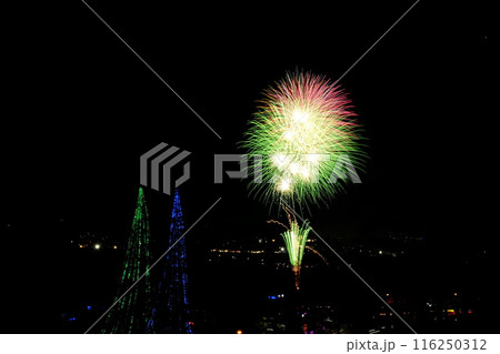 打ち上げ花火とイルミネーション 【相模原市津久井 11月】 打ち上げ花火とイルミネーション 【相模原市津久井 11月】 116250312