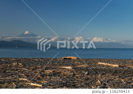 Miho Masaki black beach with mt. Fuji view, Shimizu, Shizuoka 116250413
