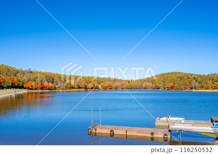 女神湖　優美な山容を水面に映す高原の湖　朝もやに覆われる早朝は神秘的　太陽を浴びる日中は爽やか 116250532