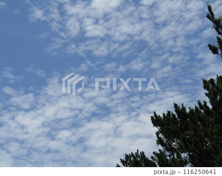 検見川浜の海岸の青い空と白い雲 検見川浜の海岸の青い空と白い雲 116250641