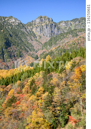 紅葉と北アルプスの山並み 紅葉と北アルプスの山並み 116250681