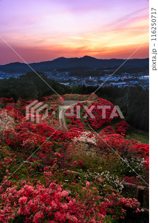 笠間つつじ公園の夕焼け 116250717