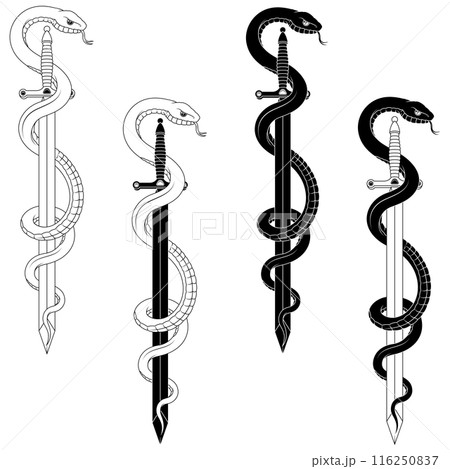 Ancient sword surrounded by poisonous snake 116250837