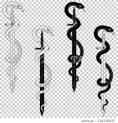 Ancient sword surrounded by poisonous snake 116250837