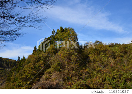 那倉川渓谷へ行きました　＃63 116251027
