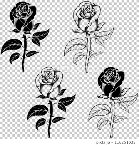 Rose with petals and thorns Rose with petals and thorns 116251035