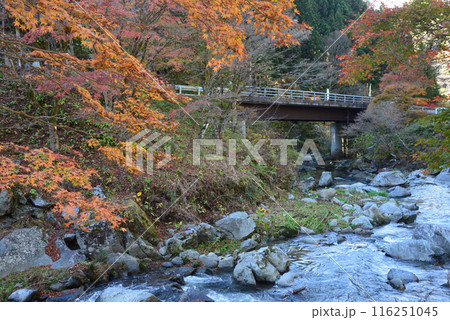 那倉川渓谷へ行きました　＃70 116251045