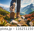 山道を歩く人　登山靴のローアングルビュー 116251150