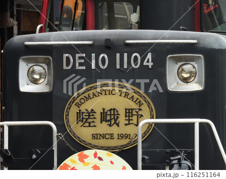 嵯峨野トロッコ列車 116251164