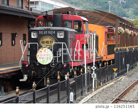 嵯峨野トロッコ列車 116251165