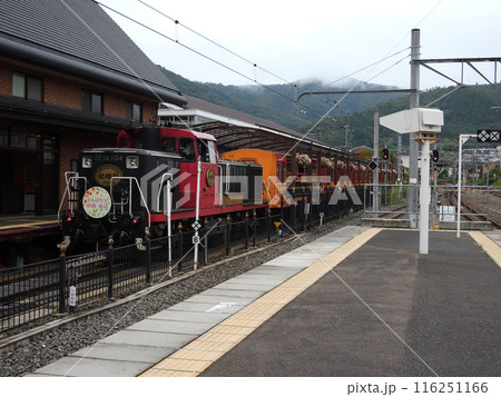嵯峨野トロッコ列車 116251166