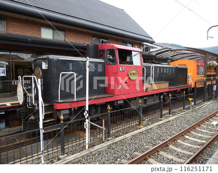 嵯峨野トロッコ列車 116251171
