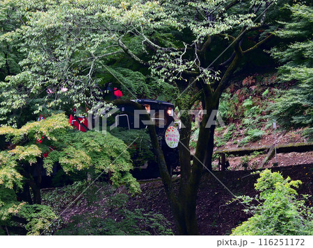 嵯峨野トロッコ列車 嵯峨野トロッコ列車 116251172