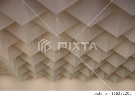 防音・吸音・無響・遮音構造の施設天井  116251200