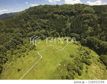 夏の親海湿原（およみしつげん）　長野県白馬村（ドローンによる空撮） 116251359