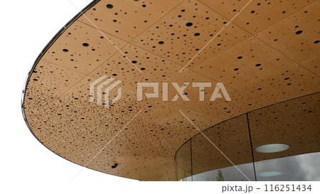 Acoustic ceiling texture architecture 116251434