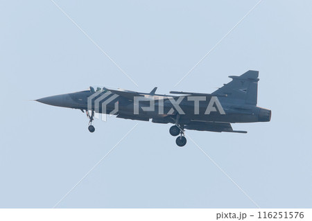 飛行するハンガリー空軍JAS-39Cグリペン戦闘機 飛行するハンガリー空軍JAS-39Cグリペン戦闘機 116251576