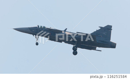 飛行するハンガリー空軍JAS-39Cグリペン戦闘機 飛行するハンガリー空軍JAS-39Cグリペン戦闘機 116251584