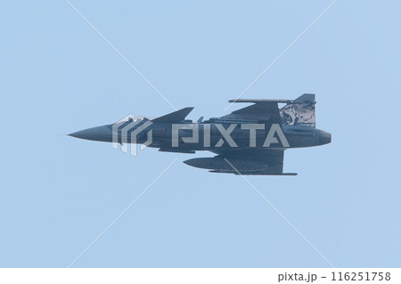 トラ柄のチェコ空軍JAS-39Cグリペン戦闘機 116251758