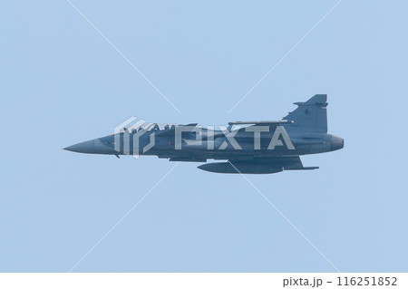 飛行するチェコ空軍JAS-39Dグリペン戦闘機 飛行するチェコ空軍JAS-39Dグリペン戦闘機 116251852
