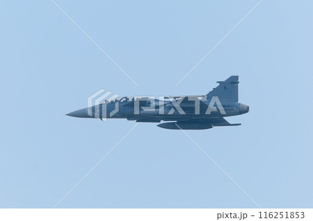 飛行するチェコ空軍JAS-39Dグリペン戦闘機 116251853