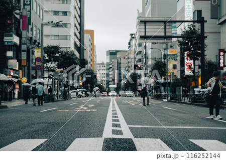 新宿の街並み　道路　交差点 116252144