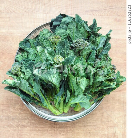 アレッタ② アレッタ② 116252223