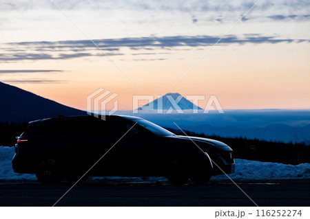 シャドウ 116252274