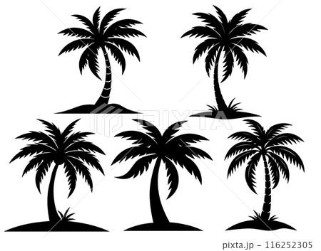 Palm tree silhouettes isolated on white background, vector illustration. Palm tree silhouettes isolated on white background, vector illustration. 116252305