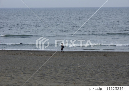 辻堂海浜公園　辻堂海岸の風景 116252364