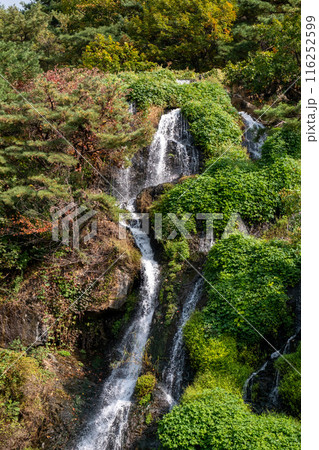 Close-up of waterfall with autumn foliage Close-up of waterfall with autumn foliage 116252599