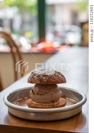 Chocolate ice cream with fried bun served on plate Chocolate ice cream with fried bun served on plate 116252601