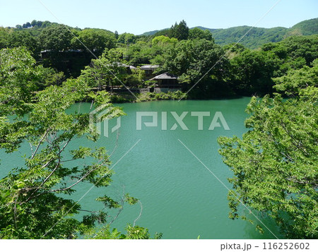 玉淀湖(埼玉県寄居・長瀞) 玉淀湖(埼玉県寄居・長瀞) 116252602