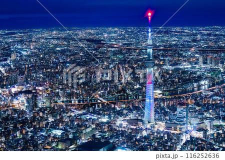スカイツリーが見える東京の夜景を独占ヘリ遊覧 116252636