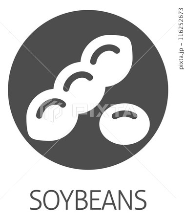 A Soybean Soy Bean Food Allergen Icon Concept 116252673