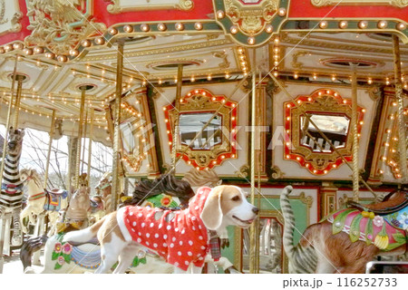 ビーグル犬とメリーゴーランド 116252733