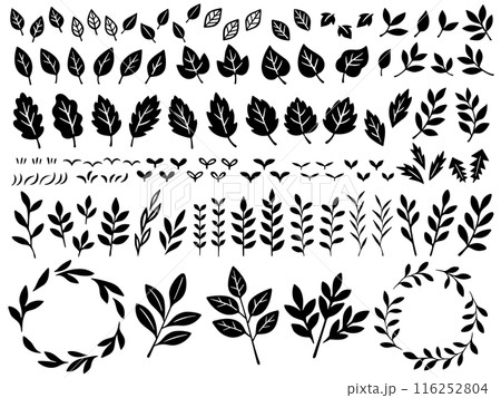 植物の手描き風シルエットイラストセット 植物の手描き風シルエットイラストセット 116252804